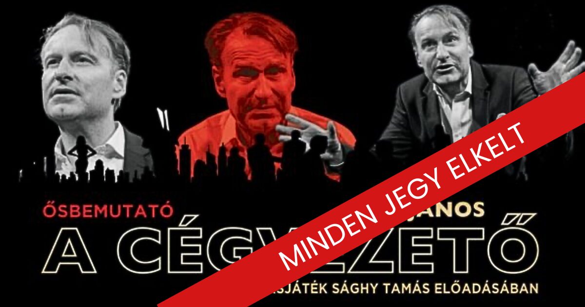 Háy János: A cégvezető